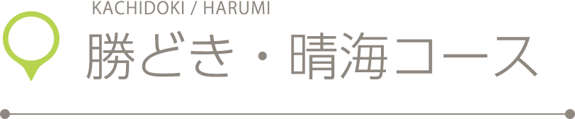 勝どき・晴海コース